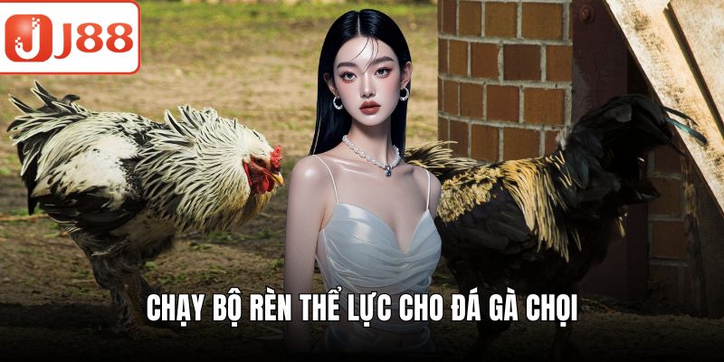 Đá gà chọi – Trải Nghiệm Thú Vị Cùng Sân Chơi Cực Hấp Dẫn Chạy bộ rèn thể lực cho đá gà chọi