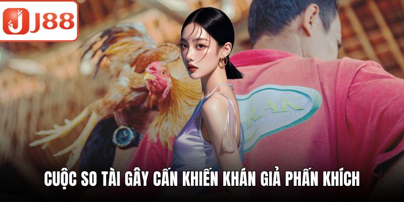 Đá gà chọi – Trải Nghiệm Thú Vị Cùng Sân Chơi Cực Hấp Dẫn Cuộc so tài gây cấn khiến khán giả phấn khích