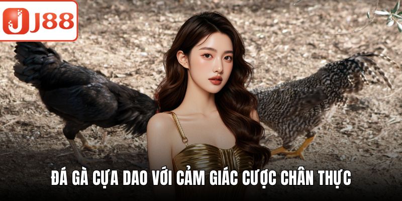 Đá Gà Cựa Dao J88 - Kèo Cược Đa Dạng, Trải Nghiệm Sống Động Đá gà cựa dao với cảm giác cược chân thực