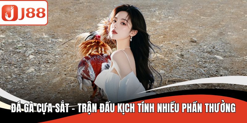 Đá gà cựa sắt