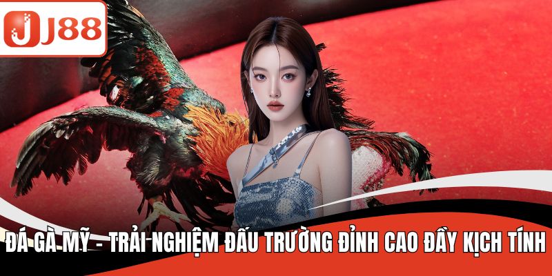 Đá gà mỹ