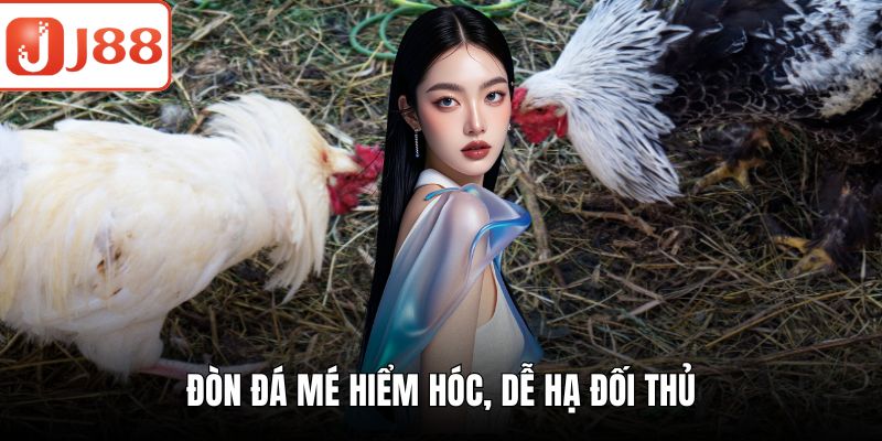 Đá gà chọi – Trải Nghiệm Thú Vị Cùng Sân Chơi Cực Hấp Dẫn Đòn đá mé hiểm hóc, dễ hạ đối thủ