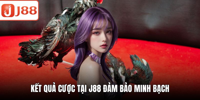 Kết quả cược tại J88 đảm bảo minh bạch