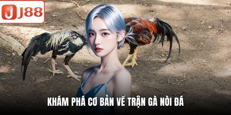 Gà Nòi Đá - Khám Phá Lịch Sử Và Chiến Thuật Cược Chuẩn Khám phá cơ bản về trận gà nòi đá