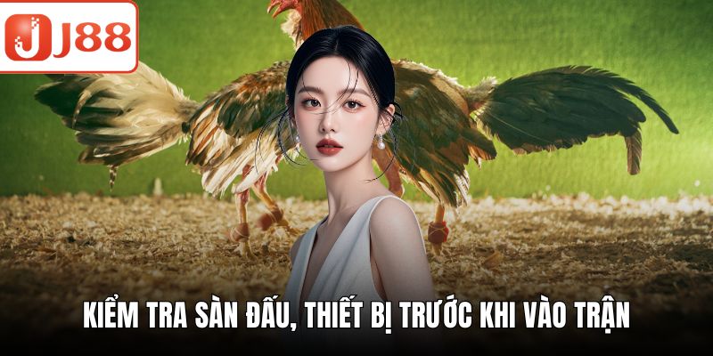 Gà Nòi Đá - Khám Phá Lịch Sử Và Chiến Thuật Cược Chuẩn Kiểm tra sàn đấu, thiết bị trước khi vào trận
