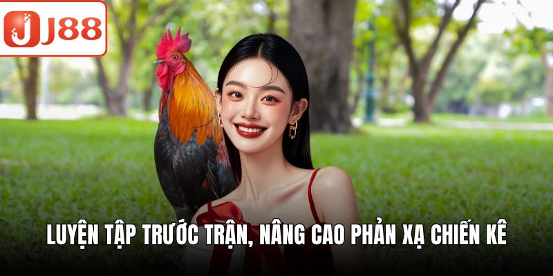 Đá Gà Thomo – Hồi Hộp Từng Phút Giây Nhận Ngay Quà Khủng Luyện tập trước trận, nâng cao phản xạ chiến kê
