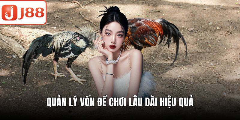 Đá Gà Cựa Sắt – Trận Đấu Kịch Tính Nhiều Phần Thưởng Hấp Dẫn Quản lý vốn để chơi lâu dài hiệu quả