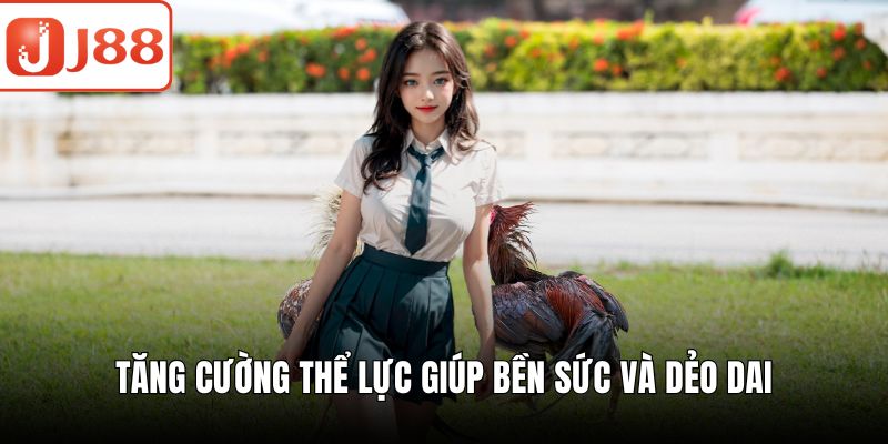 Đá Gà Mỹ – Trải Nghiệm Đấu Trường Đỉnh Cao Đầy Kịch Tính Tăng cường thể lực giúp bền sức và dẻo dai