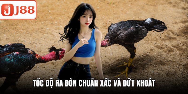 Đá Gà Mỹ – Trải Nghiệm Đấu Trường Đỉnh Cao Đầy Kịch Tính Tốc độ ra đòn chuẩn xác và dứt khoát