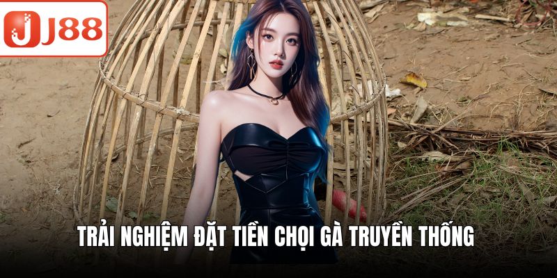 Trải nghiệm đặt tiền chọi gà truyền thống