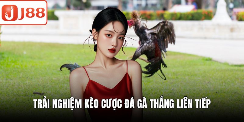 Đá Gà Cựa Dao J88 - Kèo Cược Đa Dạng, Trải Nghiệm Sống Động Trải nghiệm kèo cược đá gà thắng liên tiếp